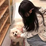 一品大臣9665破解版下载